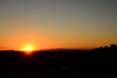 DSC_1473 (Large).JPG